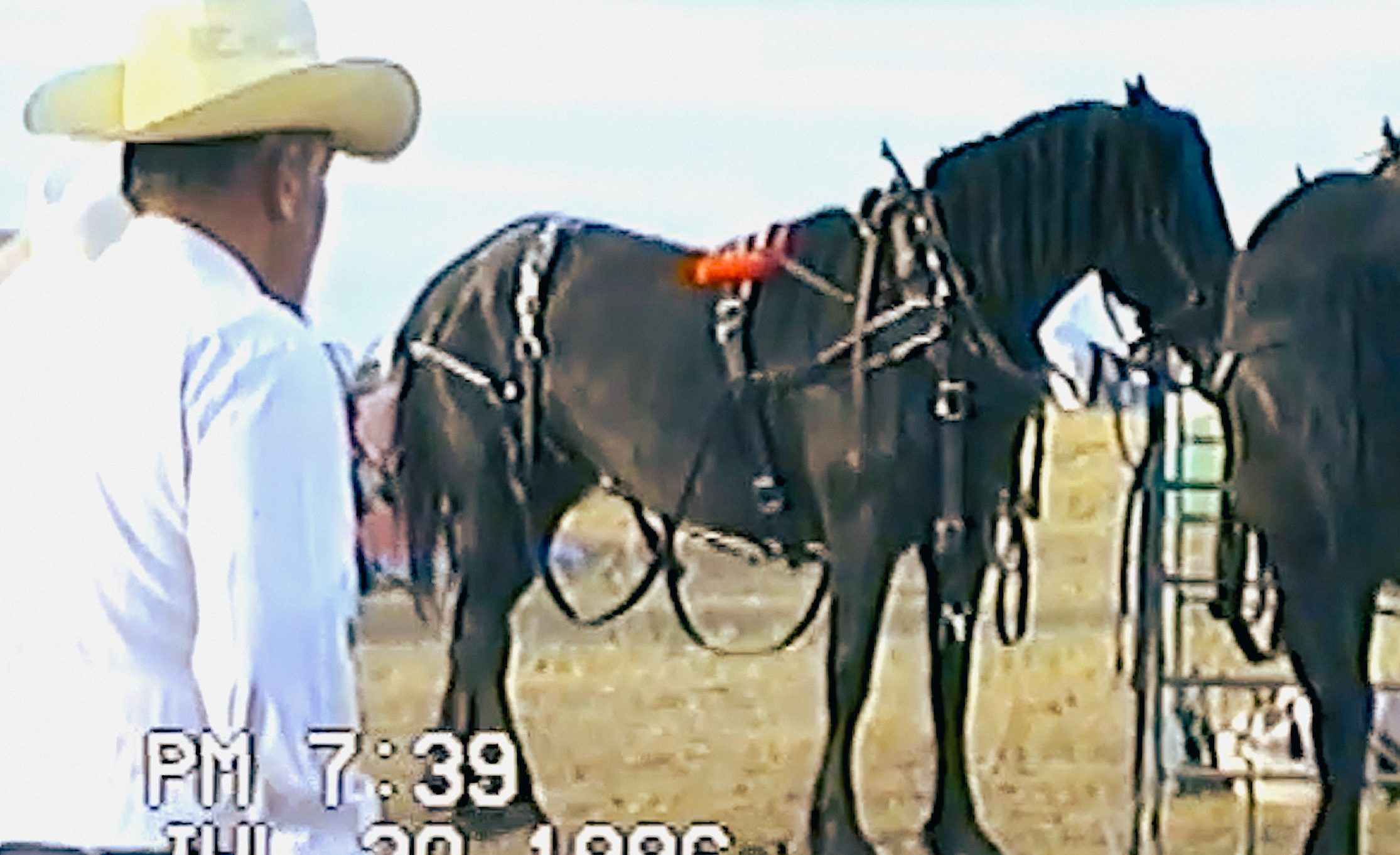 Image description